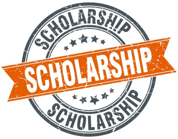 dr-salemy-high-school-scholarship